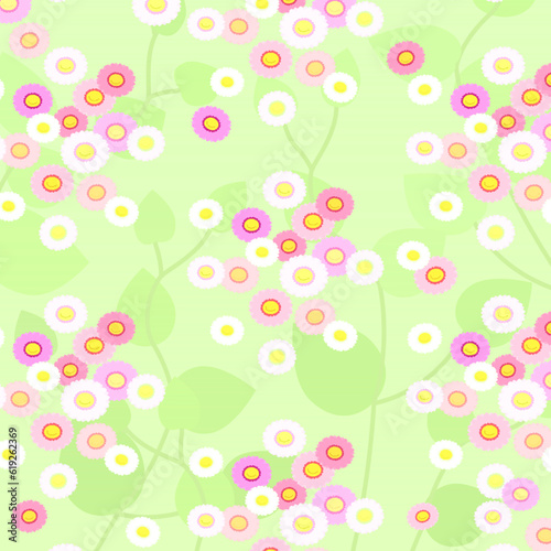 ローダンセの花