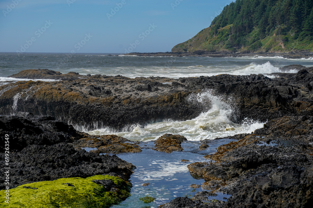 Tide pools at Cape Perpetua in Oregon, USA. Thor's Well Location.