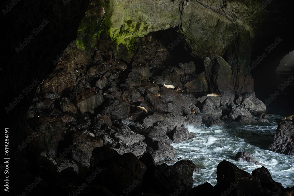 Sea Lion Caves in Florence, Oregon, USA.