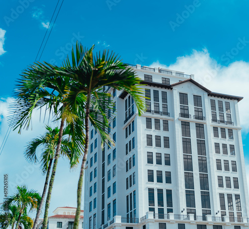 palm trees in downtown city coral gables  © Alberto GV PHOTOGRAP