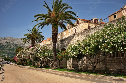 Street of Korcula town in Croatia with its traditional architecture © Vedrana