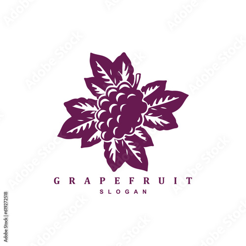 Fresh grapefruit berry logo design for your brand or business