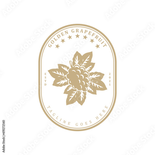 Vintage retro golden grapevine logo design badge vector illustration