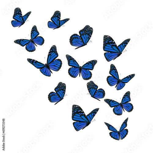 Blue flying butterfly