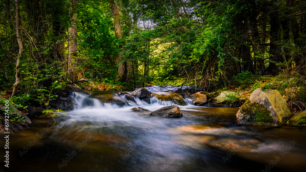 Flowing stream in the forest