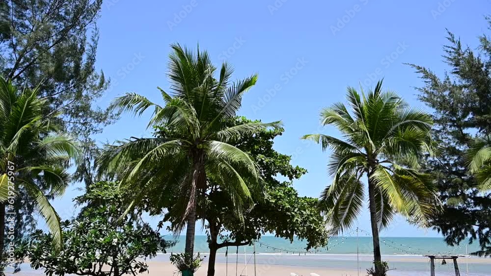 view of tropical beach through coconut tree on sunny day, palm trees fluttering slow motion scene view of tropical beach through coconut tree on sunny day, palm trees fluttering slow motion scene