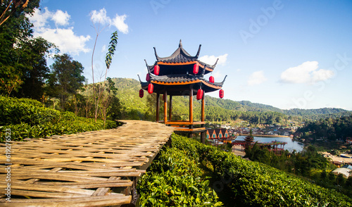 Shelter in tea platation. photo