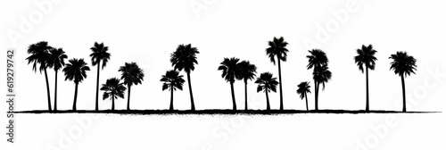 a black and white photo of a row of palm trees