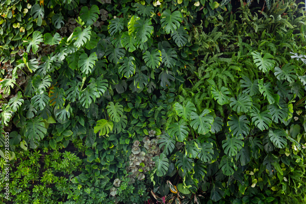 Variety of artificial plant in beautiful nature vertical garden, a green wall panorama background. Variety of artificial plant in beautiful nature vertical garden, a green wall panorama background.