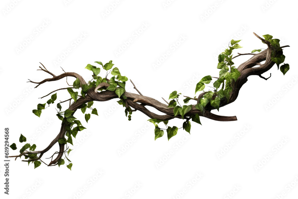 realistic twisted jungle branch with plant growing isolated on a white background - obrazy, fototapety, plakaty 