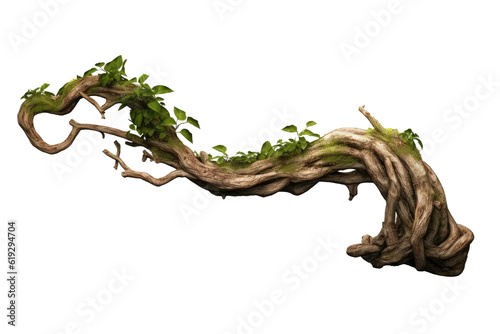 Photo realistic twisted jungle branch with plant growing isolated on a white backgroun