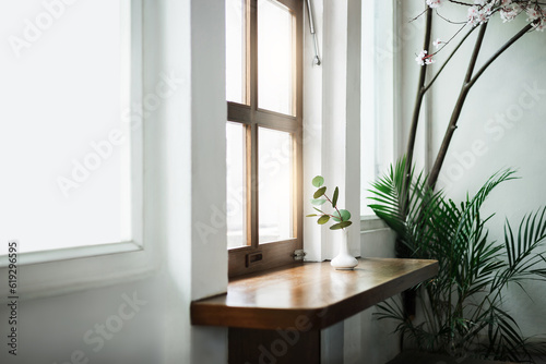 A small tree with green leaf in white ceramic vase on wooden counter by window and indoor plants  decorationn and interior design in living room