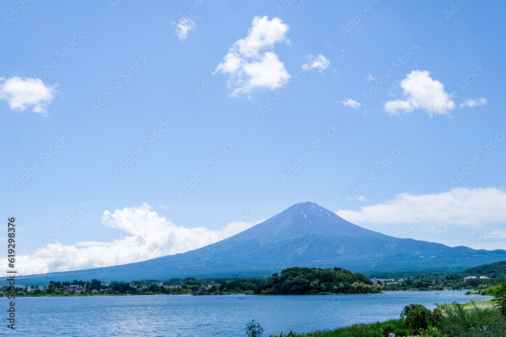 Fototapeta premium 山梨県河口湖と湖畔のラベンダー畑と富士山
