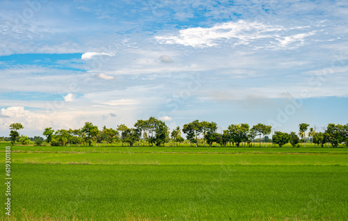 Beautiful landscape in the countryside of Thailand. Agriculture is one of the most important economic sectors in Thailand.