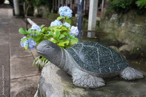 酒列磯前神社　あじさいと亀 photo