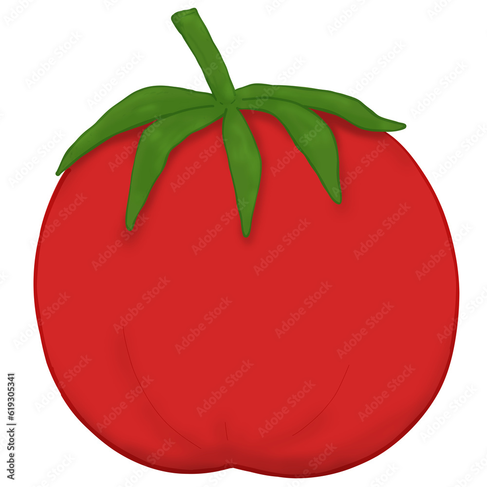 fresh red tomato drawing illustration