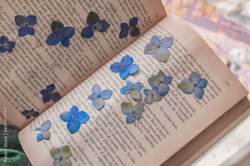 Pressed blue hydrangeas on a book Pressed blue hydrangeas on a book