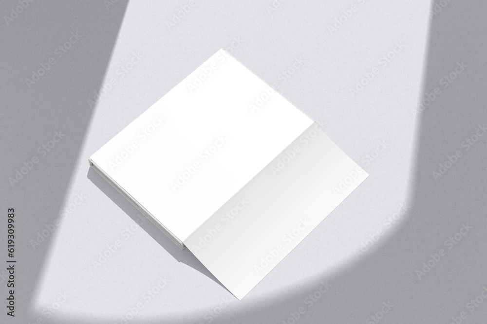 Book Dust With Jacket Mockup Blank Book Dust With Jacket Mockup Blank