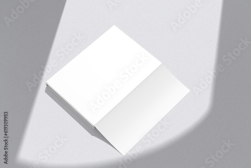 Fotografía Book Dust With Jacket Mockup Blank