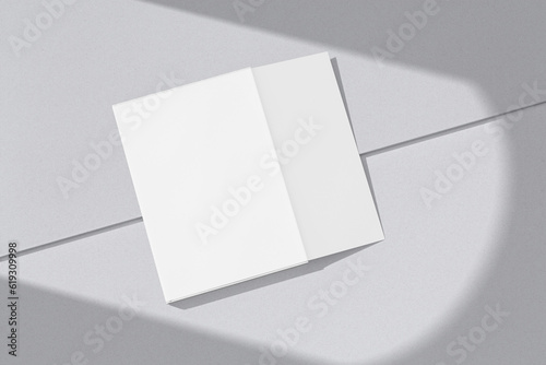  Book Dust With Jacket Mockup Blank