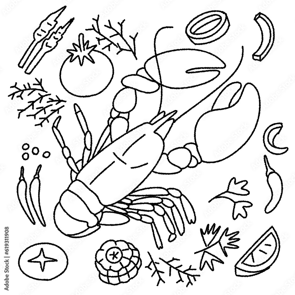 Fototapeta premium lobster