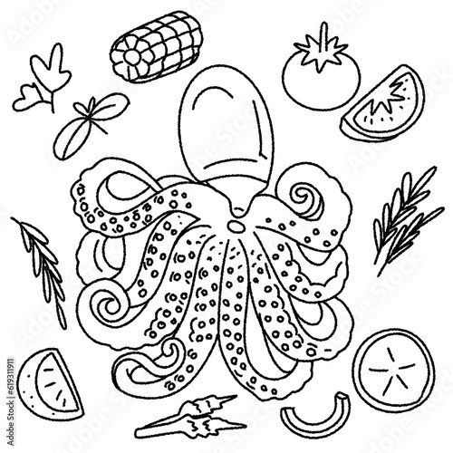 octopus