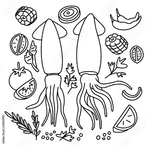 squid