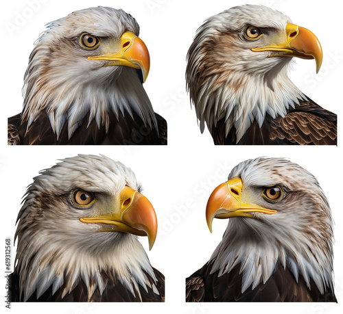 Four times a Bald Eagle Face  side view  on a transparent background  Generative AI