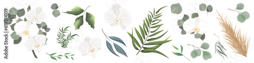 Mix of herbs and plants vector collection. Juicy eucalyptus, deadwood, green plants and leaves. All elements are isolated. White orchid branch with eucalyptus. Vector illustration
