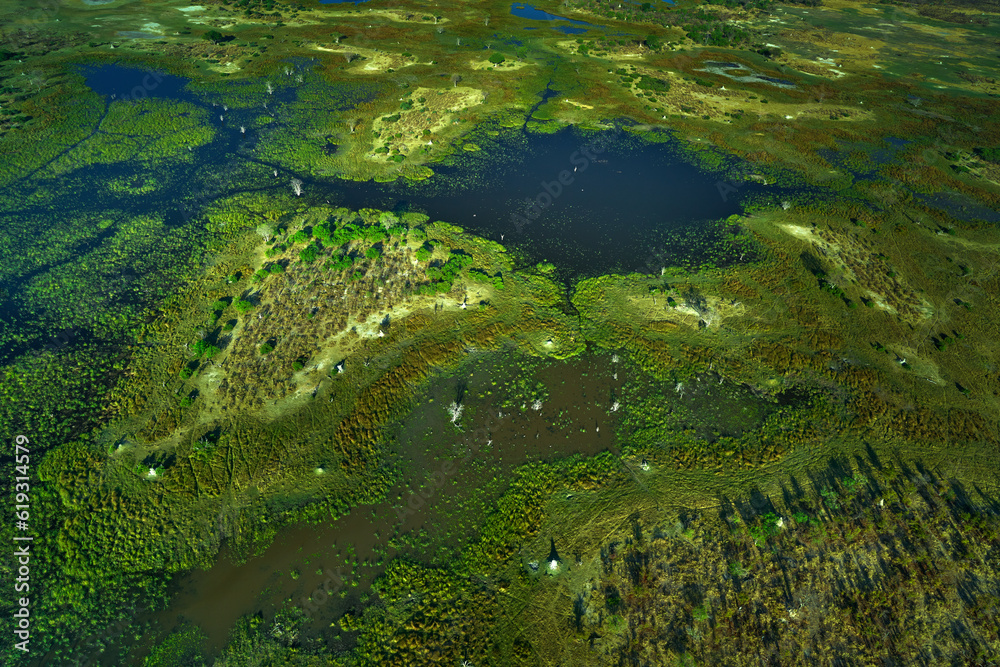 Aerial landscape in Okavango delta, Botswana. Lakes and rivers, view from airplane. Green vegetation in South Africa. Trees with water in rainy season.