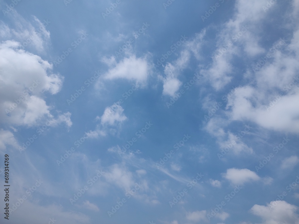 Fototapeta premium 東京のそら(23.7.3) 