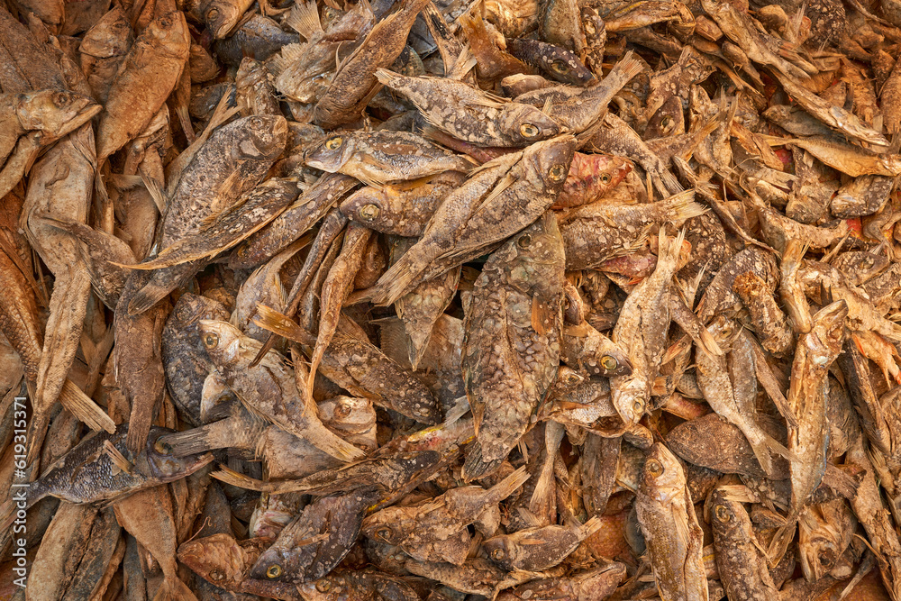 Madagascar fish market, travel in Africa. Dried fish with salt in the town market, Antananarivo in Madagascar. Close-up detail on river anamal.