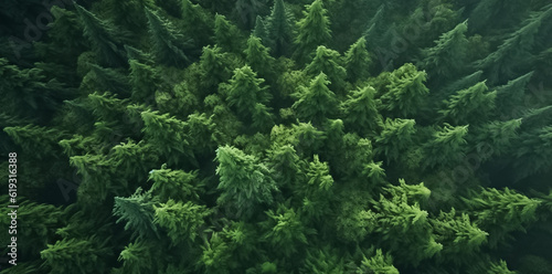 Aerial top view of summer green trees in forest. Mixed forest  green deciduous trees. Soft light in countryside woodland or park. Drone shoot above colorful green texture in nature. Generative AI.