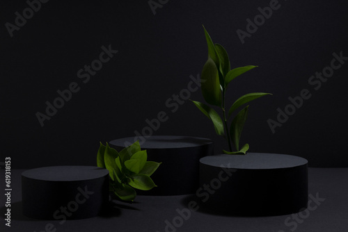 Black abstract stage with three circle podiums mockup, fresh tropical green leaves, template for presentation cosmetic products, goods, design, advertising, sale, fashion exquisite rich summer style.