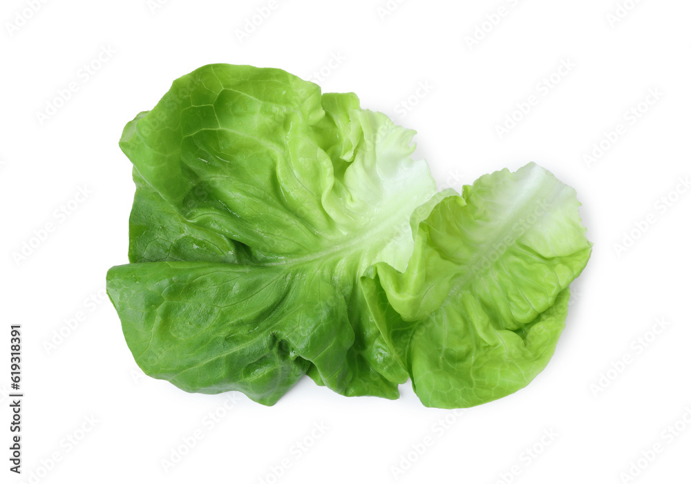 Fresh green butter lettuce leaves isolated on white, top view Fresh green butter lettuce leaves isolated on white, top view