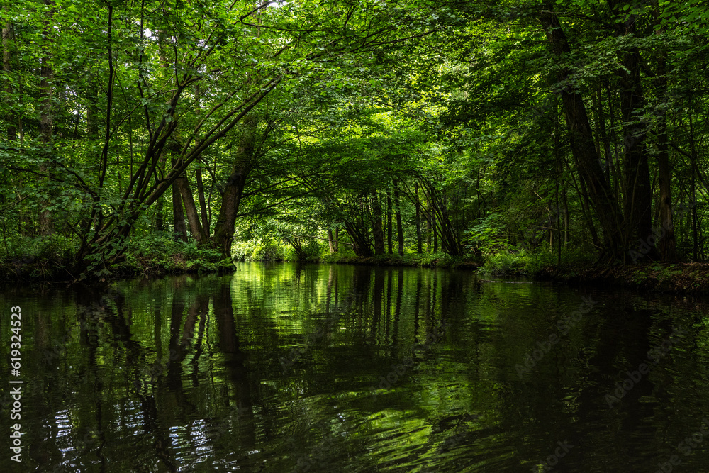 Mit dem Kajak unterwegs im Unterspreewald 1 Mit dem Kajak unterwegs im Unterspreewald 1