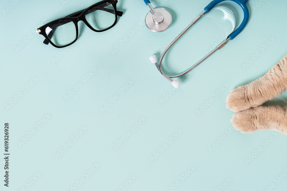 Cat paws on reception at veterinary doctor in vet clinic. Cat lying near stethoscope and eyeglasses on blue background. Pet health care concept. Vet consultation, special offer. Copy space