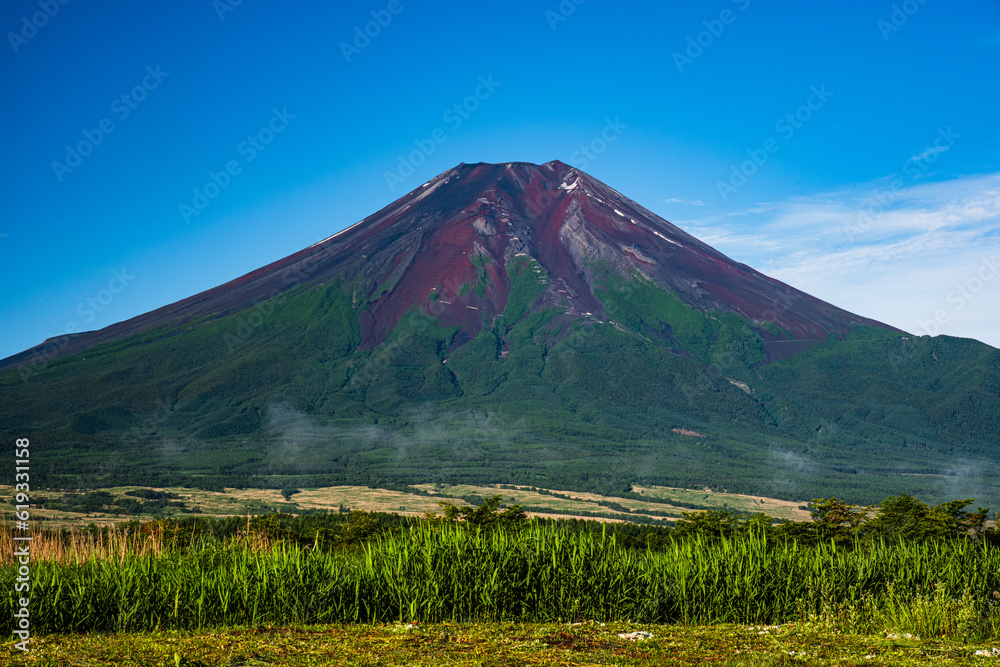 Fototapeta premium 忍野村から夏富士