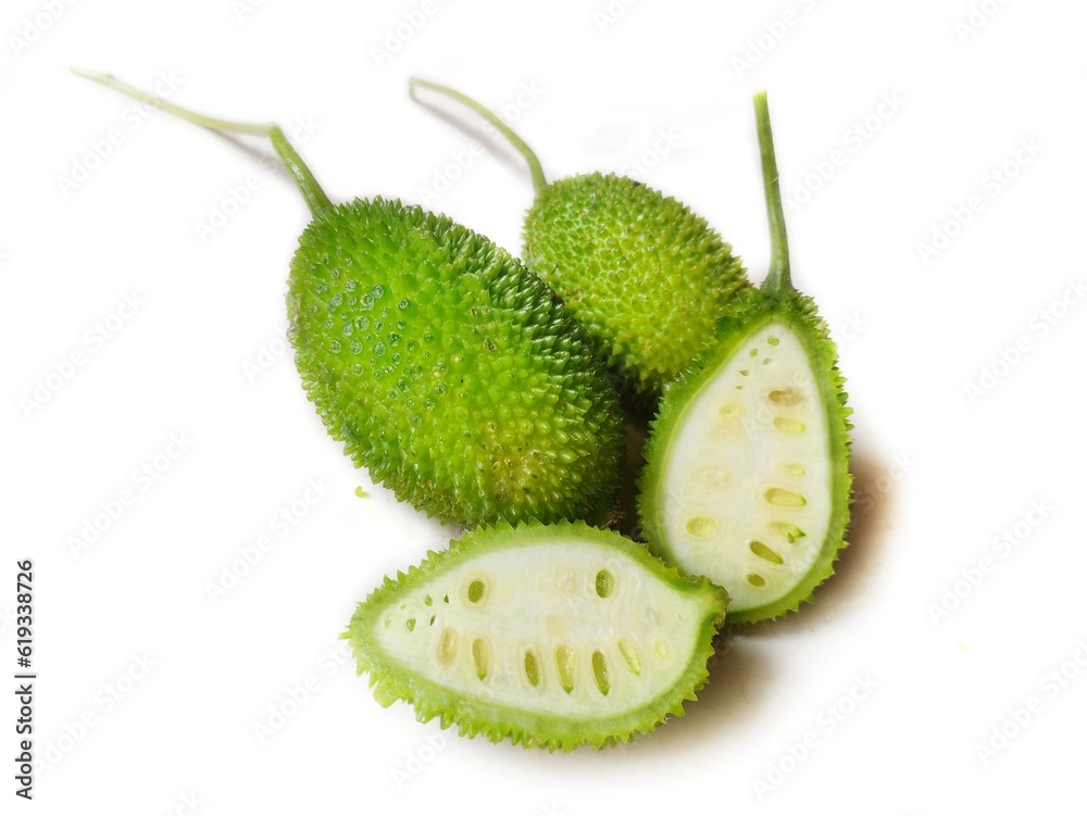 Spiny gourd or spine gourd and also known as bristly balsam pear, prickly carolaho, teasle gourd, kantola. It is used as a vegetable in India and South Asia. Scientific name - Momordica dioica. Spiny gourd or spine gourd and also known as bristly balsam pear, prickly carolaho, teasle gourd, kantola. It is used as a vegetable in India and South Asia. Scientific name - Momordica dioica.