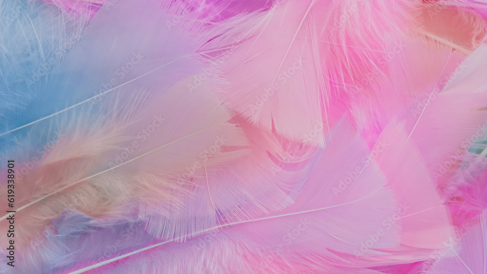 pink feather wool pattern texture background pink feather wool pattern texture background