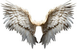 stunning oversized fantasy angel wings
