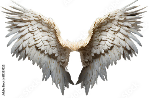 Fotografia stunning oversized fantasy angel wings