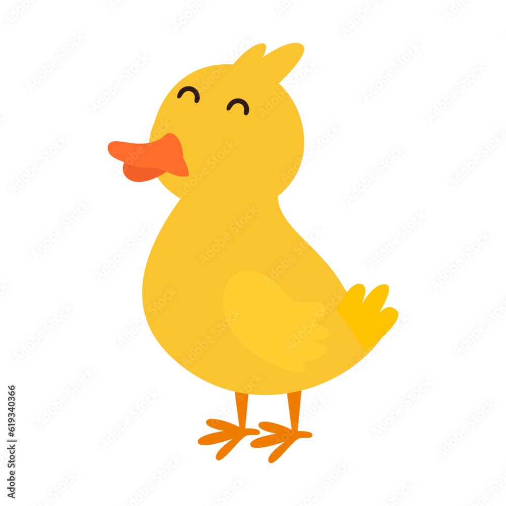 Cute Animal Cute Animal