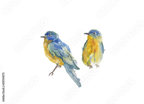 watercolor illustration of birds blue and yellow colors © juji_8