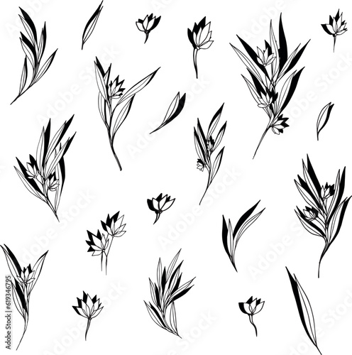 Big set silhouettes botanic floral elements. Branches, leaves, herbs, flowers. Garden, field, meadow wild plants collected in bouquet collection. Vector illustration isolated on white background.
