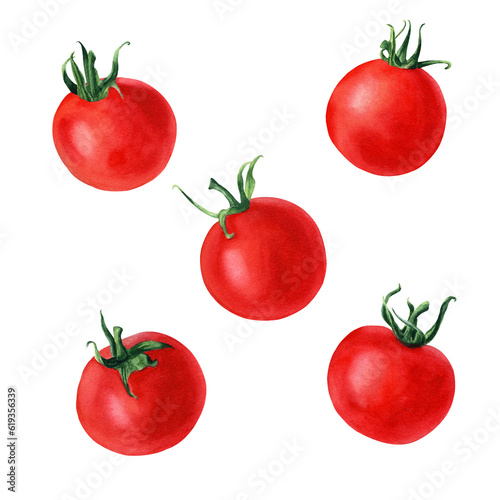 The cherry tomato set. Watercolor illustration for the design of cards, menus, labels