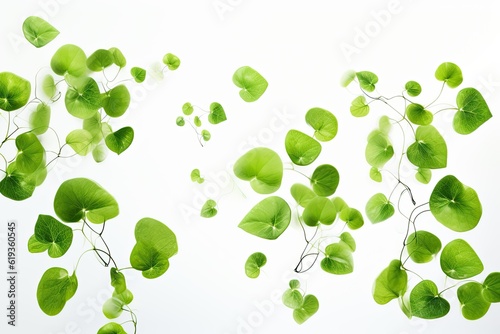 Green Floating Leaves Flying Leaves Green Leaf Dancing