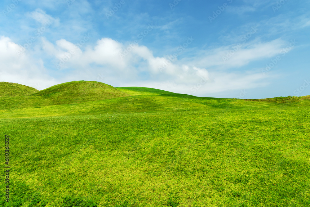 Landscape with green grass field under a blue sky