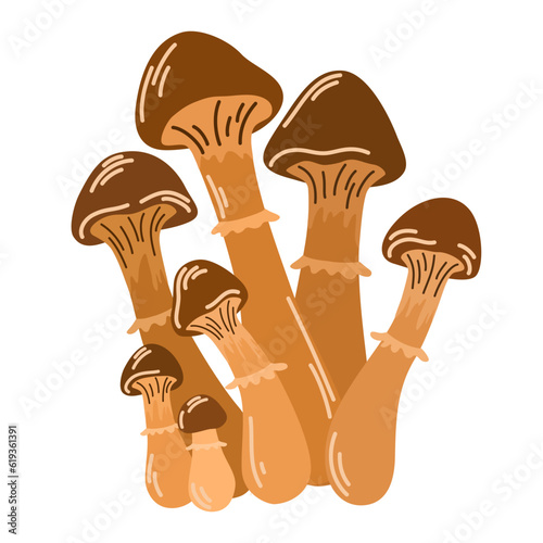 Wild forest mushrooms in autumn. Healthy organic food, vegetarian food, fresh mushrooms isolated on a white background. Vector illustration hand-drawn, family of edible mushrooms