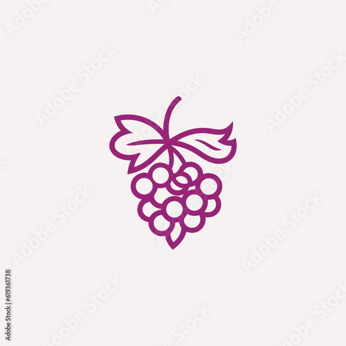 Grape logo design vector illustration